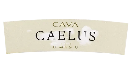 1+1=3 (U mes U fan Tres) Caelus Blanc de Noirs Gran Reserva