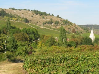 Alain et Vincent Creusefond_3