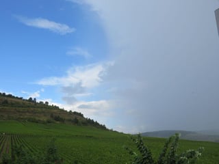 Alain et Vincent Creusefond_4