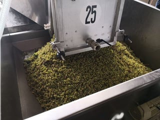 Alain et Vincent Creusefond_5