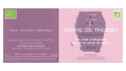 Aurélien Febvre Terre de Thorey Croquant-1