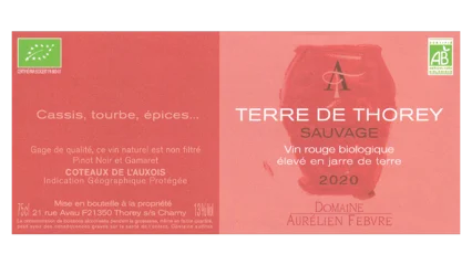 Aurélien Febvre Terre de Thorey Sauvage-1