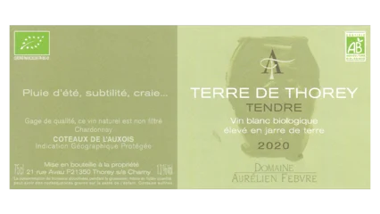 Aurélien Febvre Terre de Thorey Tendre-1