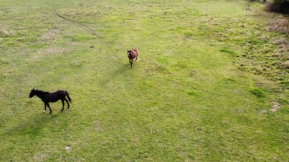 Aurore & Florian Laval_2