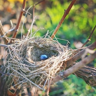 Aurore & Florian Laval_4