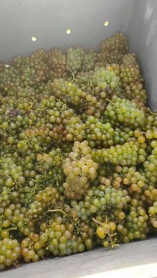 Aurore & Florian Laval_8