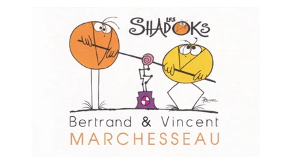 Bertrand & Vincent Marchesseau Bourgueil Rosé Les Shadoks-1