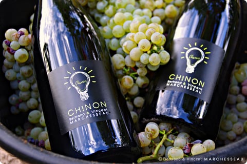 Bertrand & Vincent Marchesseau_12