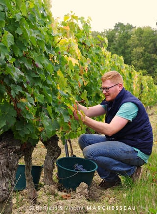 Bertrand & Vincent Marchesseau_2