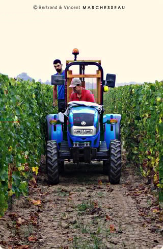 Bertrand & Vincent Marchesseau_5