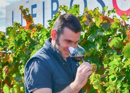 Bodegas Lleiroso