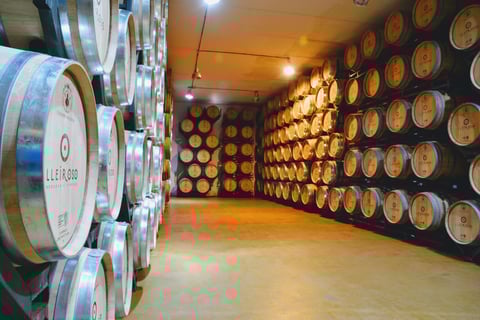 Bodegas Lleiroso_7