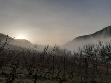 Céline & Thierry Tissot_10