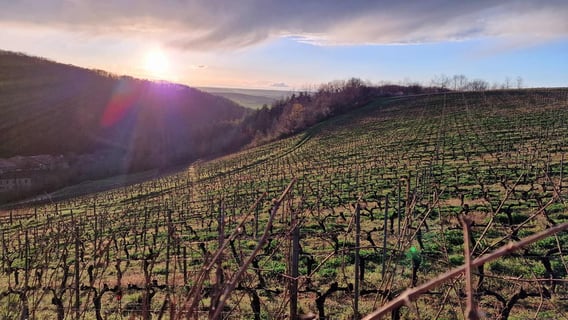 Céline & Thierry Tissot_13