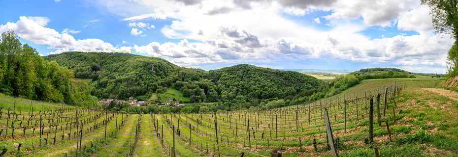 Céline & Thierry Tissot_15
