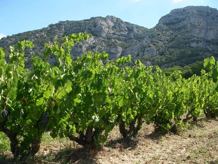 Céline & Thierry Tissot_16