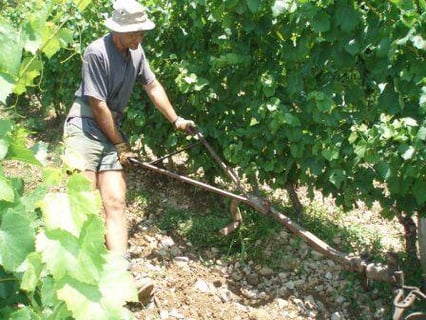 Céline & Thierry Tissot_17