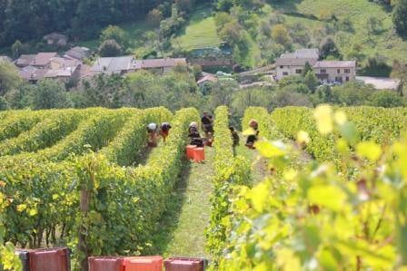 Céline & Thierry Tissot_18