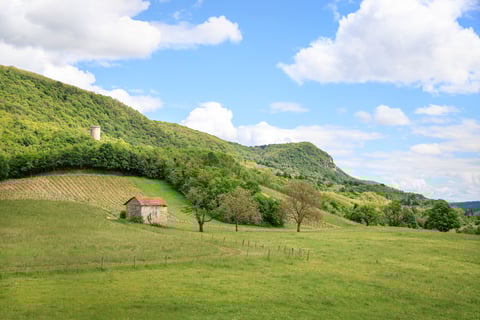 Céline & Thierry Tissot_7