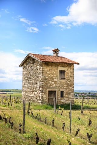Céline & Thierry Tissot_8