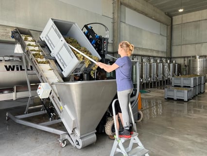 Castell Sant Antoni_10