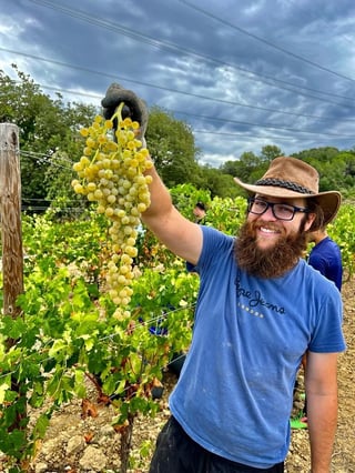 Castell Sant Antoni_3