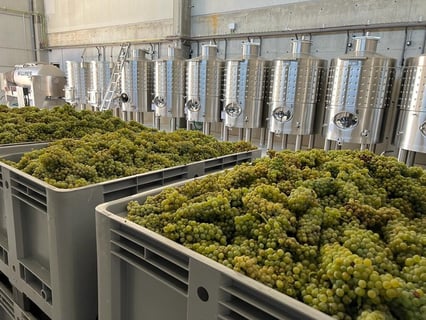 Castell Sant Antoni_5