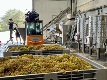 Castell Sant Antoni_7