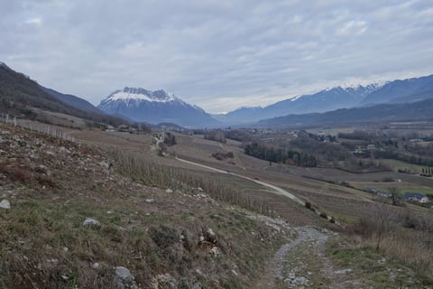 Cellier de la Baraterie (Julien Viana) (10)