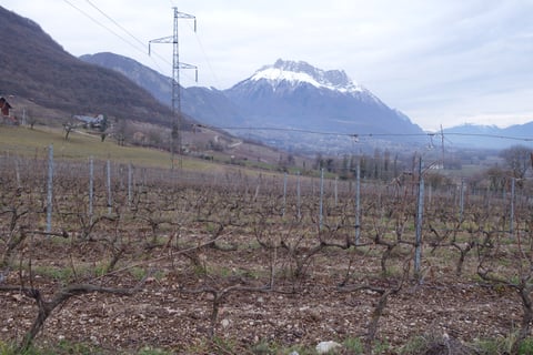 Cellier de la Baraterie (Julien Viana) (12)
