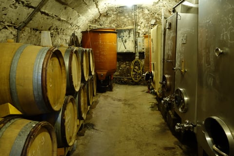 Cellier de la Baraterie (Julien Viana) (19)