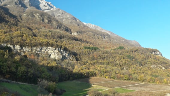 Cellier de la Baraterie (Julien Viana) (4)