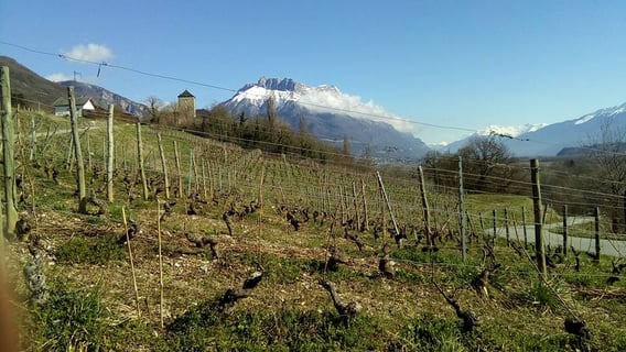 Cellier de la Baraterie (Julien Viana) (5)