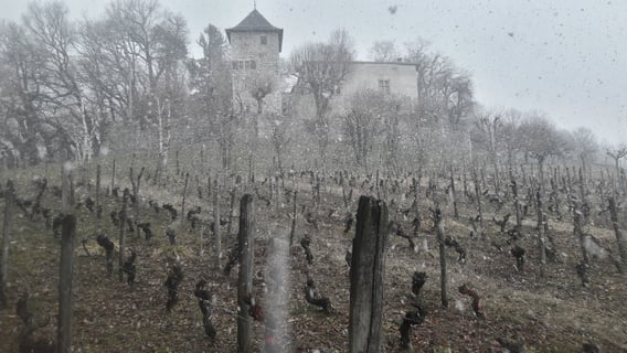 Cellier de la Baraterie (Julien Viana) (7)