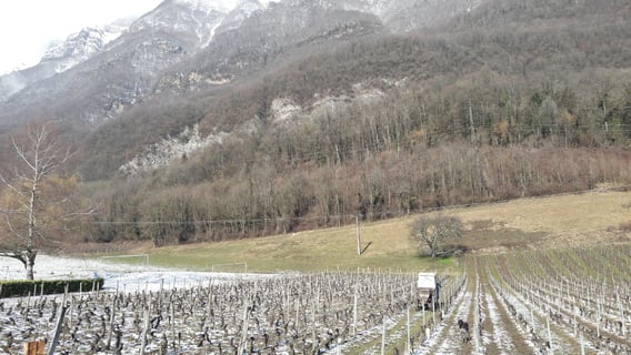 Cellier de la Baraterie (Julien Viana) (8) paroxysme