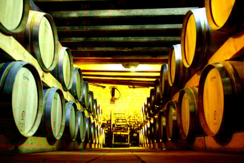 Château Frédignac_5