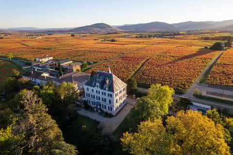 Château Grange Cochard_1