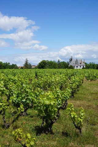 Château Grange Cochard_8