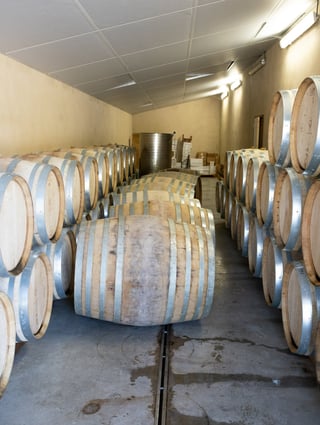 Château Juvenal_10