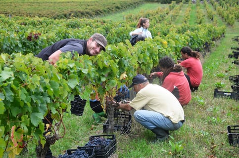 Château Pré La Lande_2