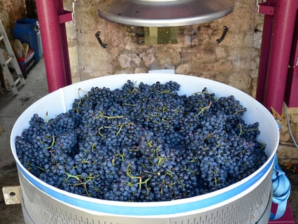 Château Pré La Lande_7