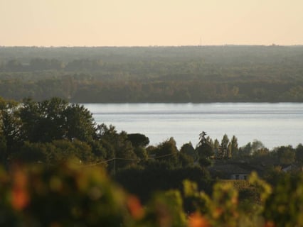 Château Puy dAmour_2