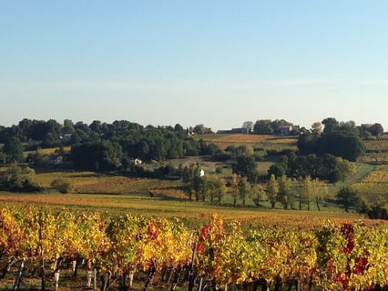 Château Puy dAmour_3