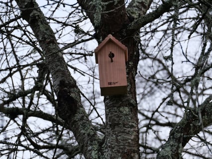 Château St. Ferdinand_7
