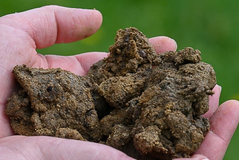 Château St. Ferdinand_9