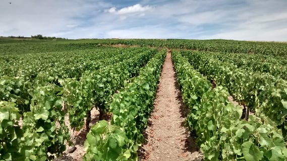 Château de Couches_1