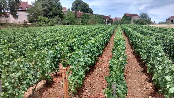 Château de Couches_2