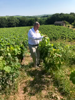 Château de Couches_3