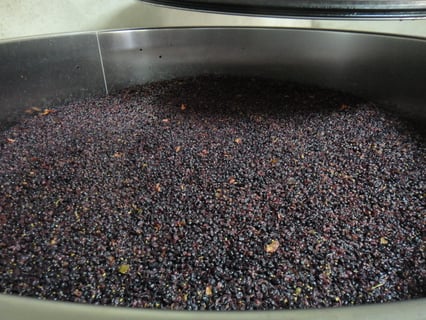 Château de Couches_4