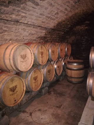 Château de Couches_6